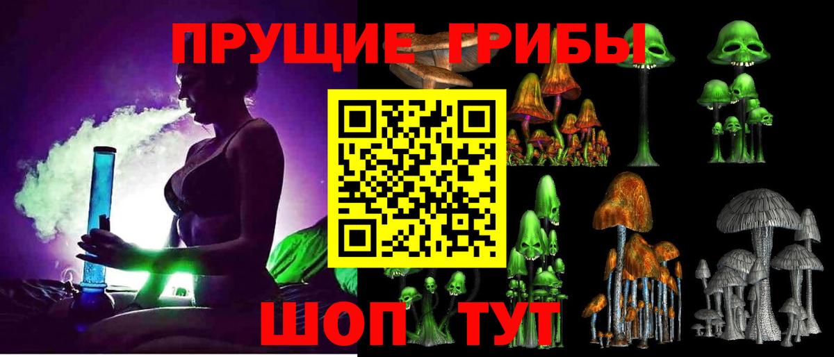 Галлюциногенные грибы Psilocybine cubensis Абакан